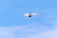 Eurofighter Typhoon #4
