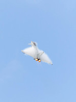 Eurofighter Typhoon #1