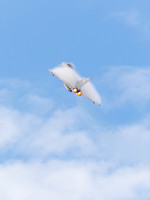 Eurofighter Typhoon #2