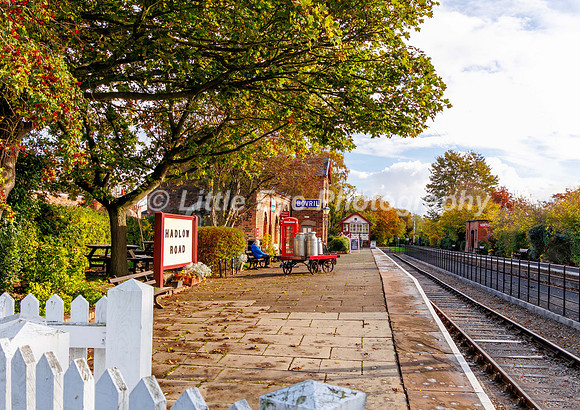 Hadlow Road Station 007