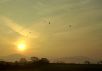 Early Morning looking over Snowdonia