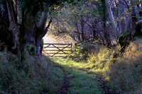 Sunrise Gate