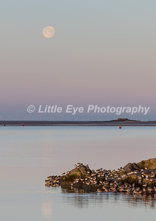 Moon setting over West Kirby Marine Lake and Little Eye