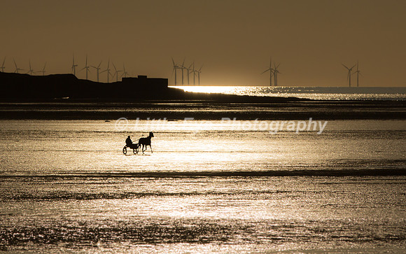 Trotting at sunset