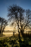 Gate at sunrise