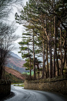 Sychnant Pass