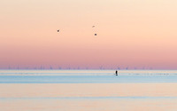 After Sunset Paddleboarder